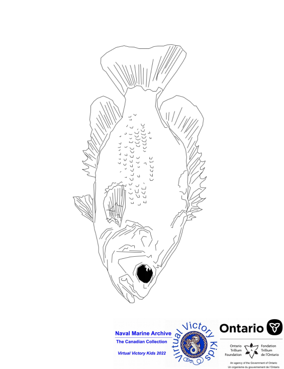 rock bass colouring page